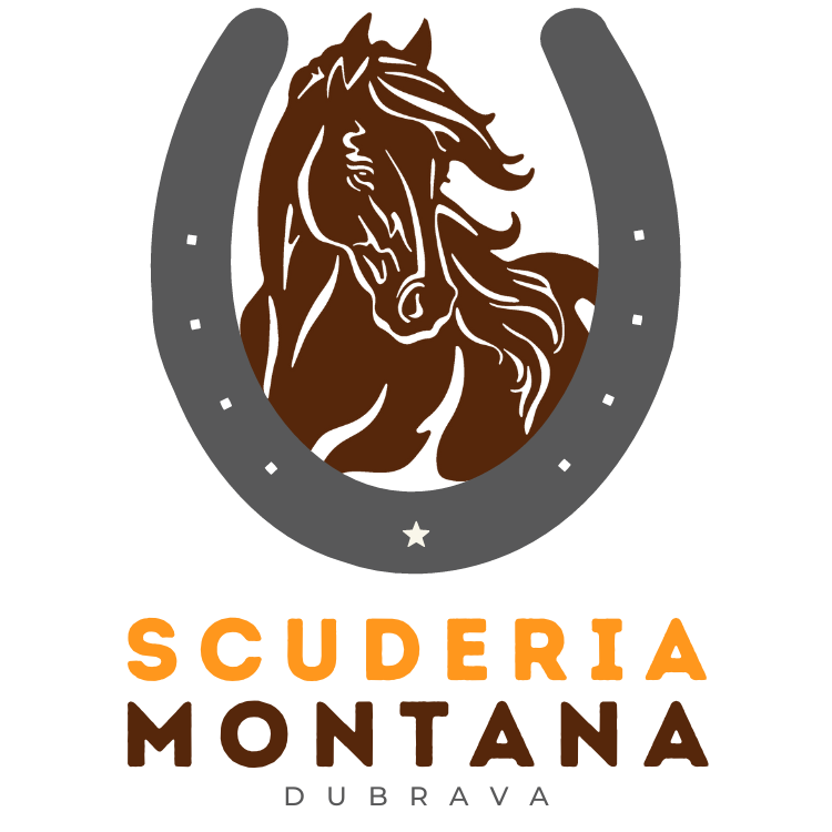 smlogofinal2bezzvijezdabezobruba.png